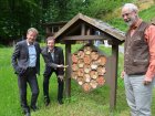 Grüne schmieden Allianz für Bienen