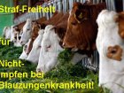 Blauzungenkrankheit - Mehrstufiges Vorsorgemodell entwickeln!